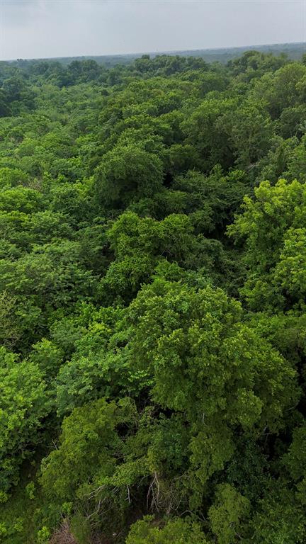 Johnson Lindley - Land