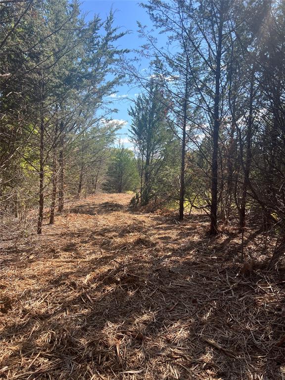 Ewing Alexander A392 - Land