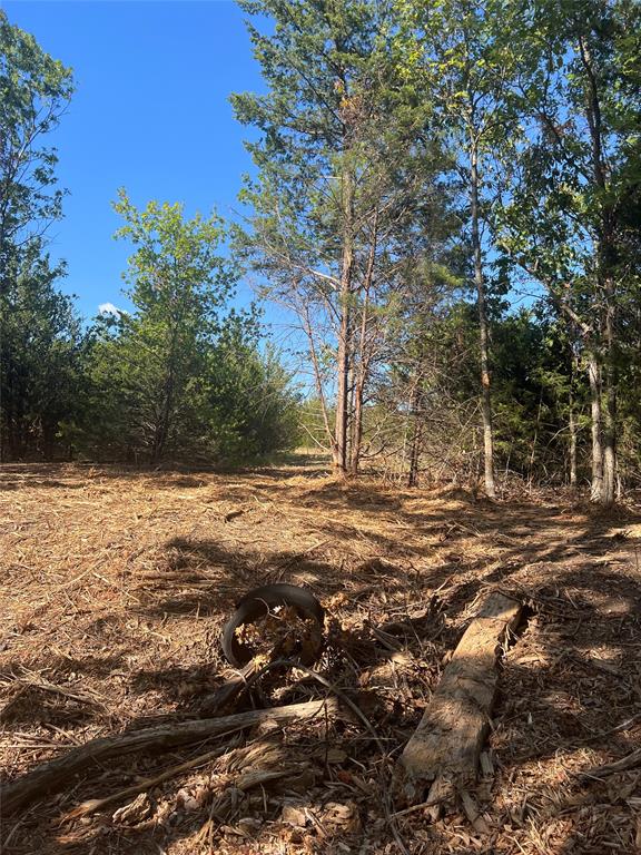 Ewing Alexander A392 - Land