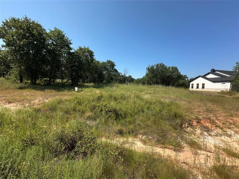 Photo of 1029 Rose Court, Nemo, TX 76070 (MLS # 21419504)