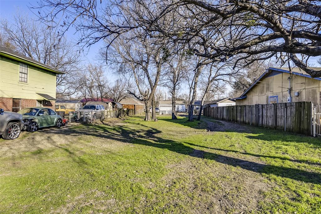 Olive-Dale 02 - Land