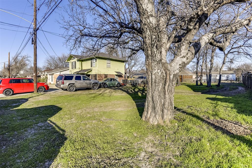 Olive-Dale 02 - Land