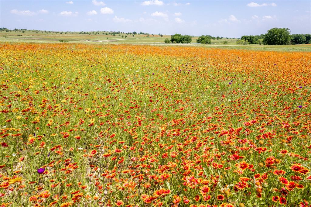 Lakeridge Ranches - Land