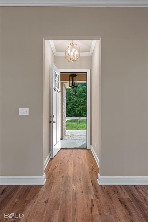 Netherton Place - Residential