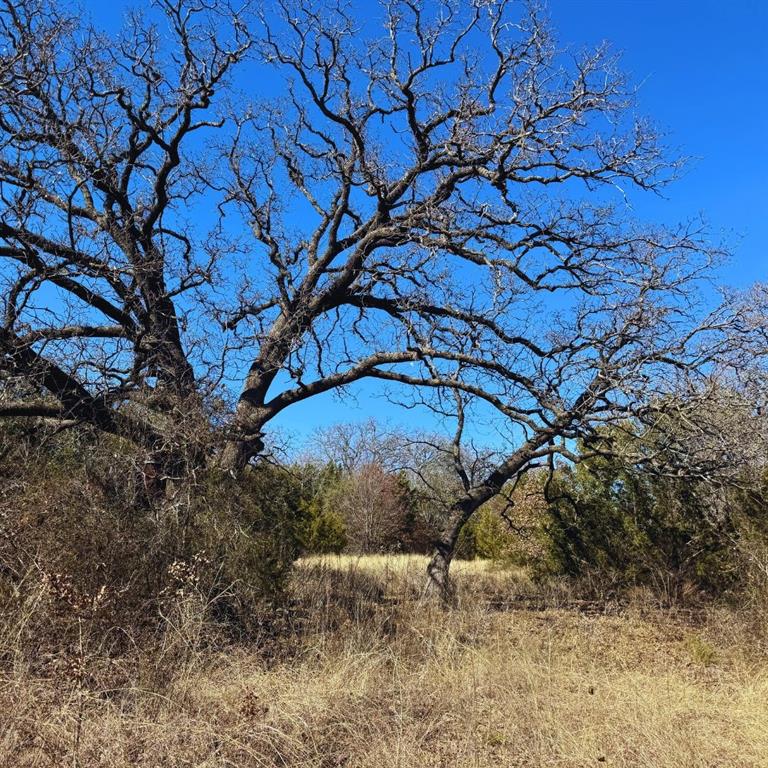 Sunrise Mountain Ranch - Land