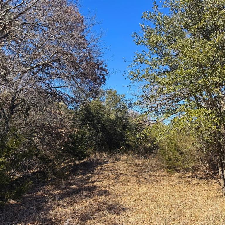 Sunrise Mountain Ranch - Land