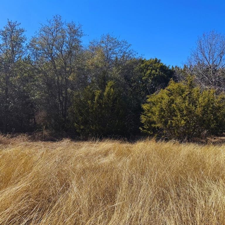 Sunrise Mountain Ranch - Land
