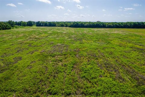 Property photo of 20 Acres Tbd County Road 825, Blue Ridge, TX 75424