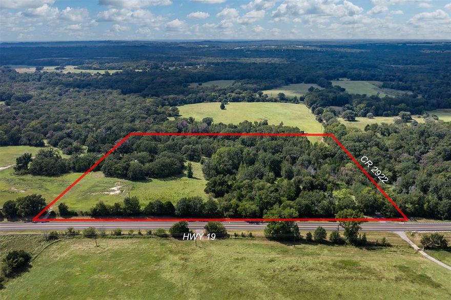 20 Acres with HWY and County Road Frontage! Excellent opportunity with this 20-acre tract featuring frontage along State Hwy 19 as well as additional frontage on a county road. The land offers a small pond, mix of open pasture, and scattered trees. Property is fenced across the front and side. Whether you are looking to develop or build your forever home, this property provides endless potential and the perfect setting to enjoy country living.