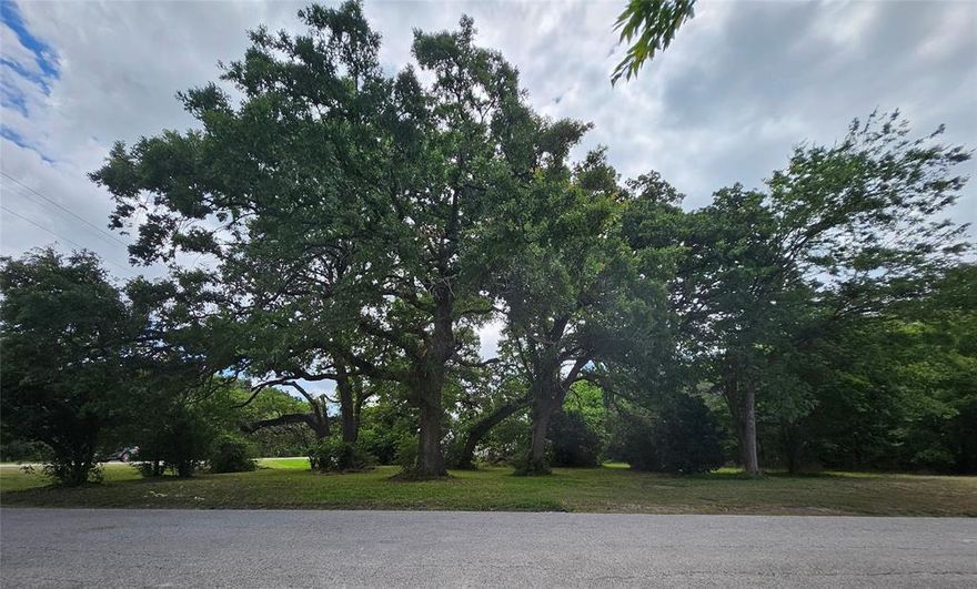 Gorgeous lot in the heart of Quinlan! Ready for you to come build your dream home! Beautiful trees, easy access to walk the shops on Main Street, and in the ideal location! Owner Financing Available! All information deemed reliable must be verified by buyer and buyer's agent.