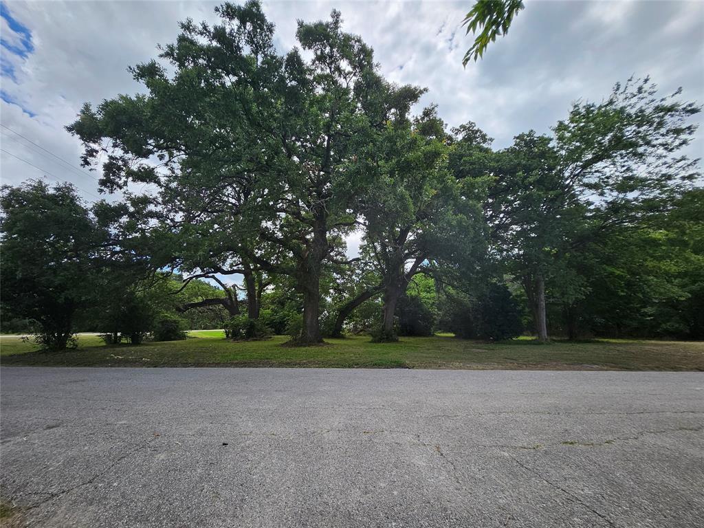 S4420 - ORIG TOWN OF QUINLAN - Land