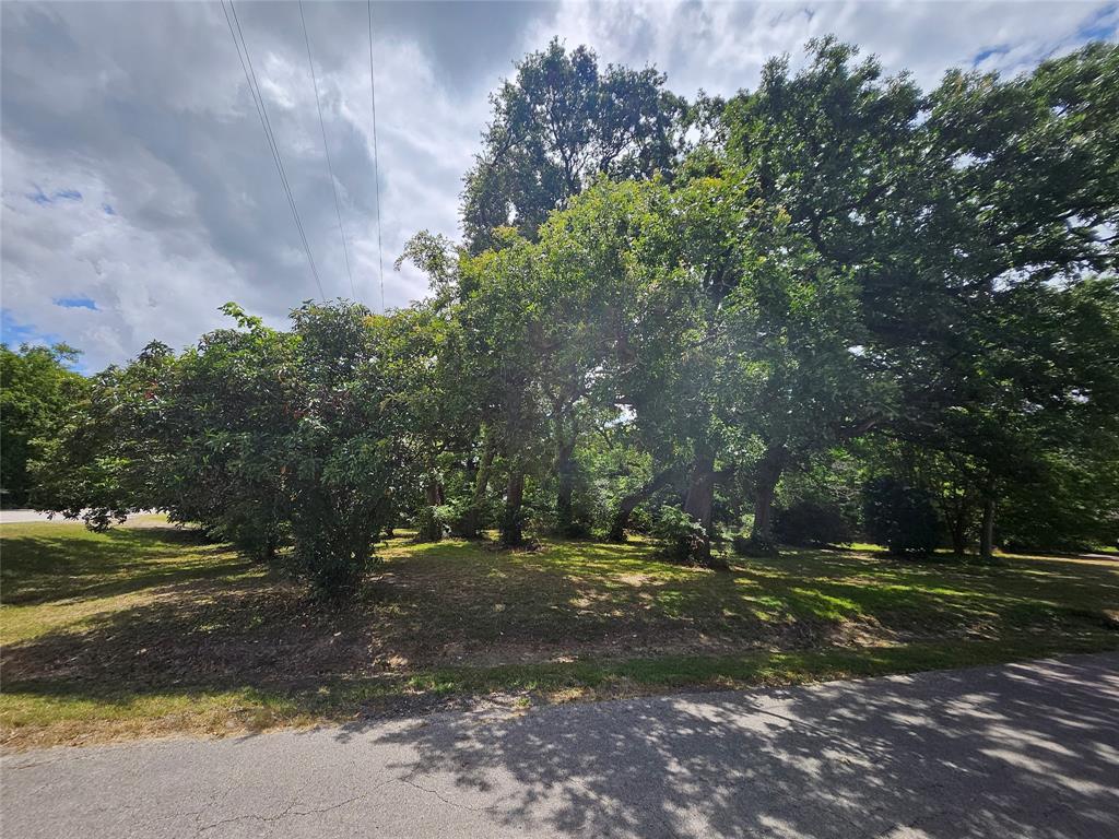 S4420 - ORIG TOWN OF QUINLAN - Land