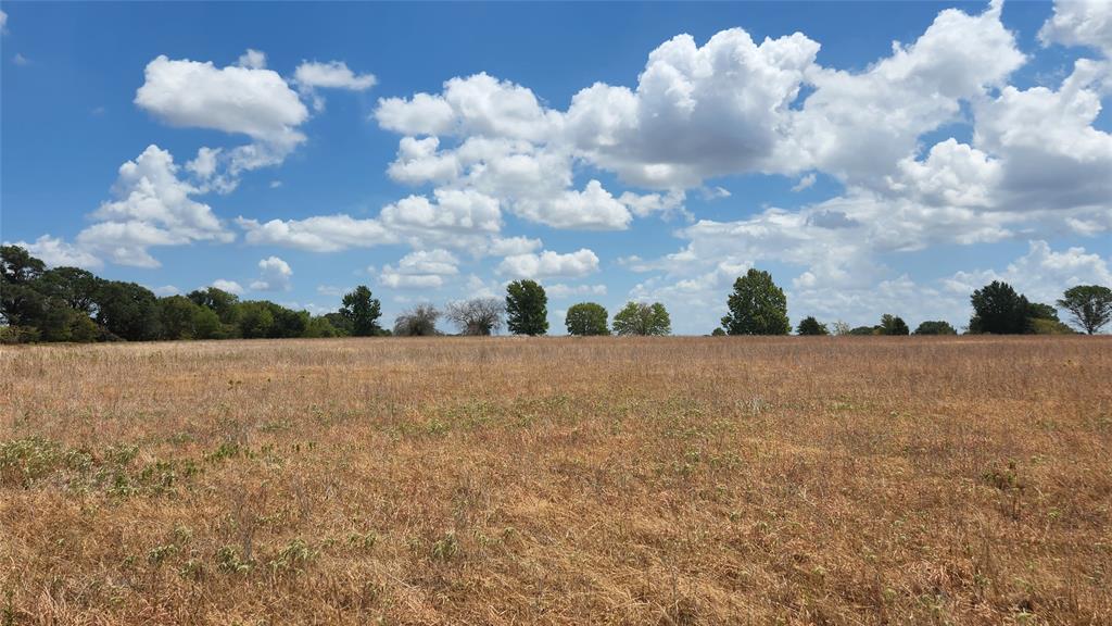 TBD VZ County Road 2421
