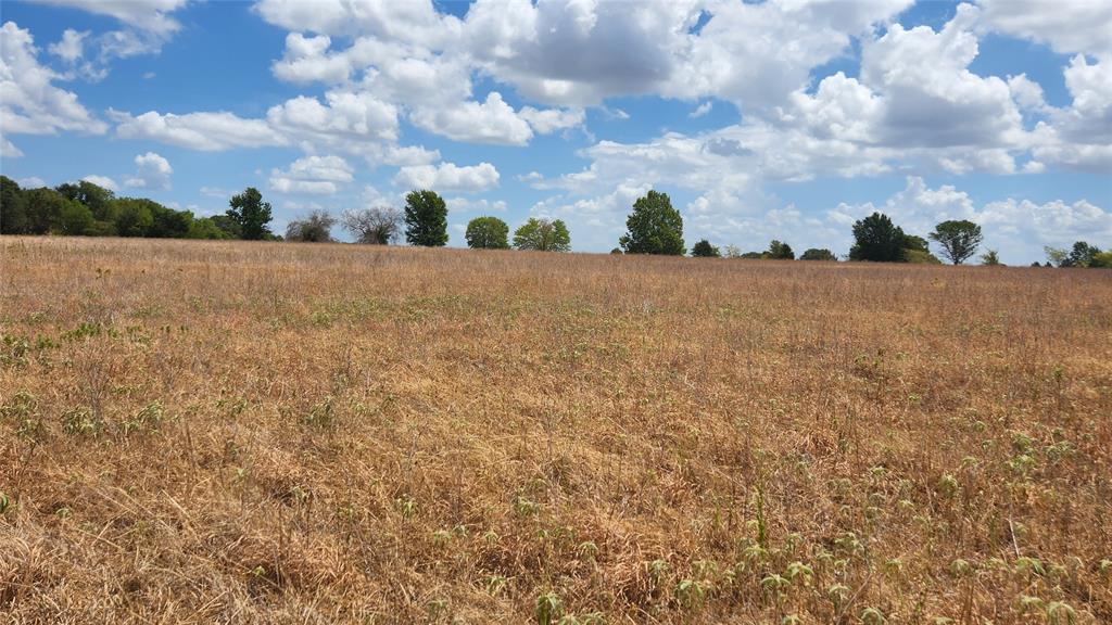 TBD VZ County Road 2421