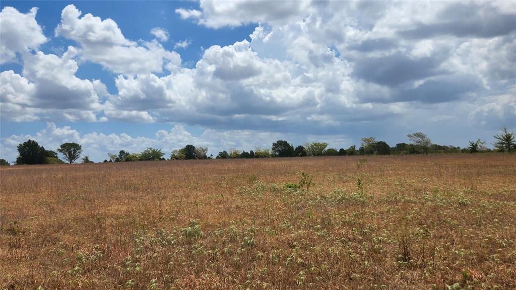 TBD VZ County Road 2421