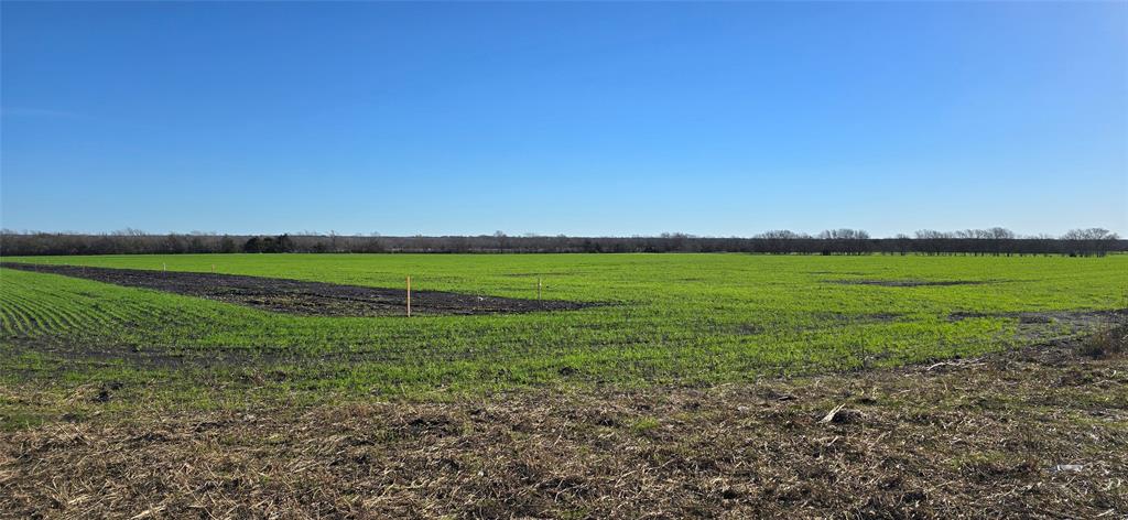 197 Acres FM 548