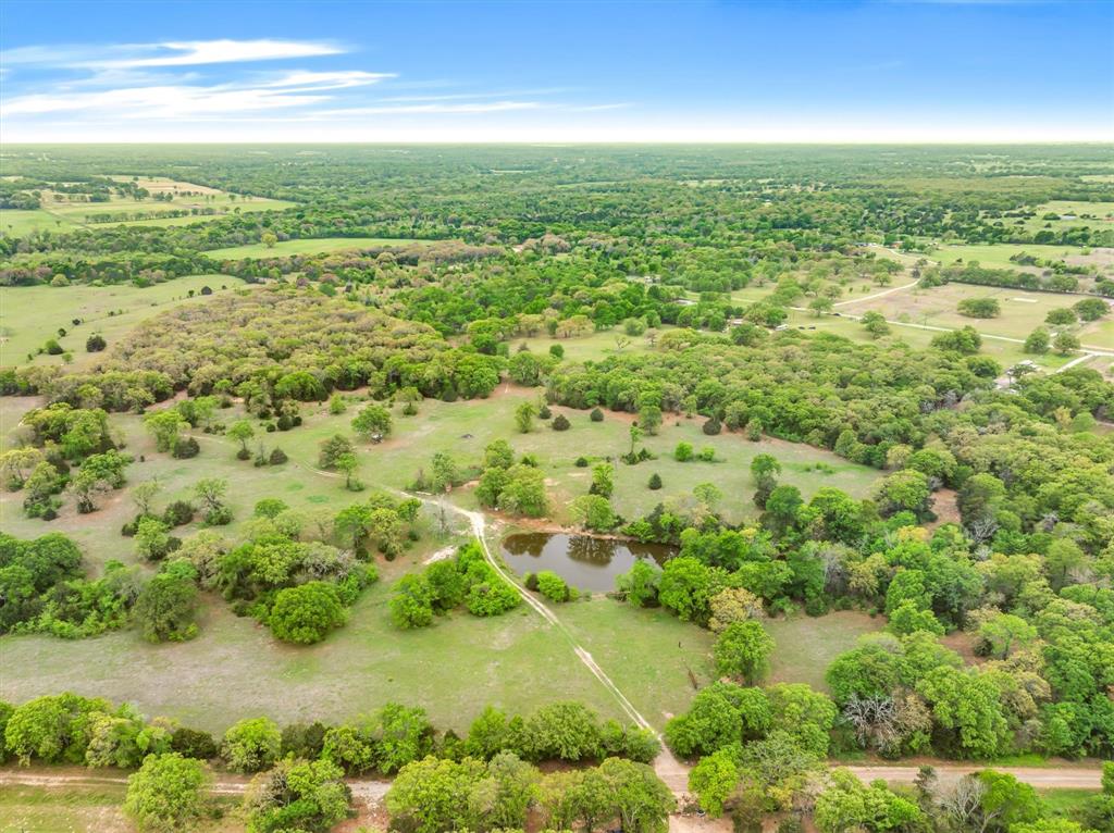 TBD Co Rd 337 - Photo 4