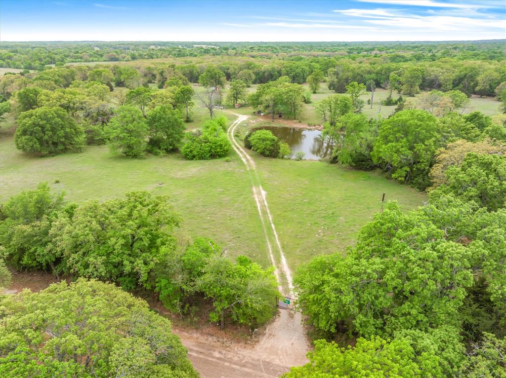 TBD Co Rd 337 - Photo 3