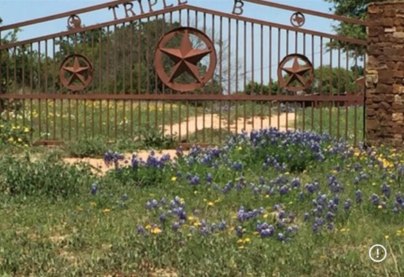 570 COUNTY ROAD 253, ROCHELLE, TX 76872 - Image 3ac1edfc8fb0b90bfb5f0c9c82dbdb60/636590268