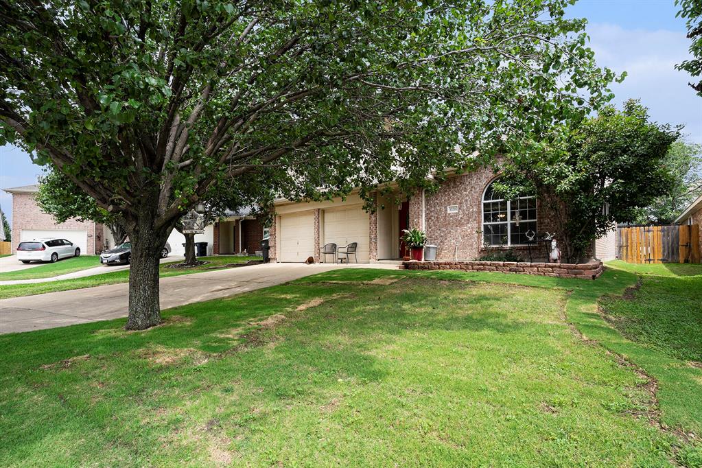 10216 Scurry Court