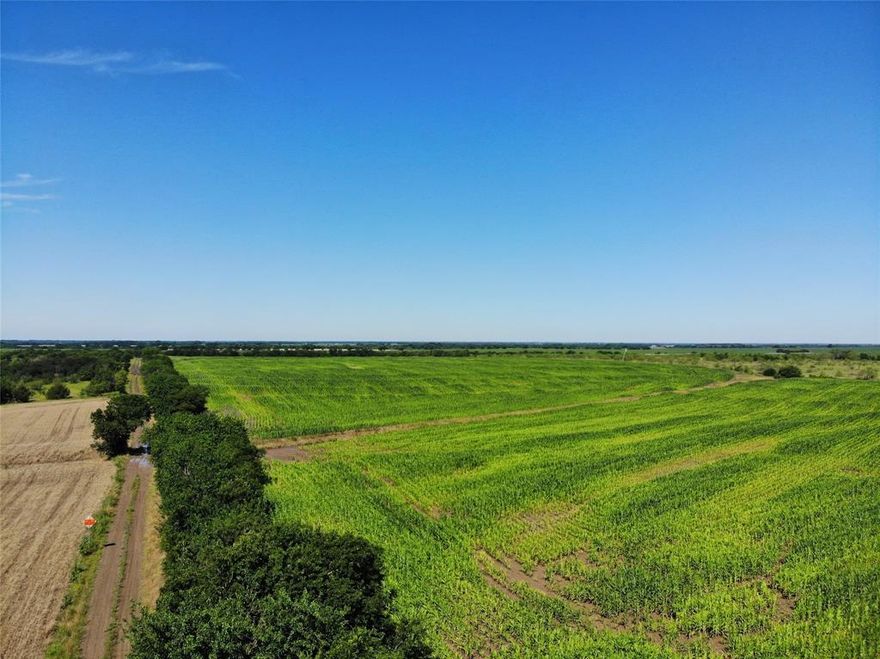 Centrally Located 1 Hour South of the DFW Metroplex, 20 Minutes From Hillsboro and 45 Minutes From Waco. Currently used for equine and agriculture, this land is located in the right spot for future commercial or residential development! A great piece of Texas to break ground on, or land bank while you run cattle, hunt and raise crops.
