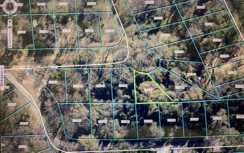 Photo of Lot 152 Shady Trail, Trinidad, TX 75163 (MLS # 21392008)