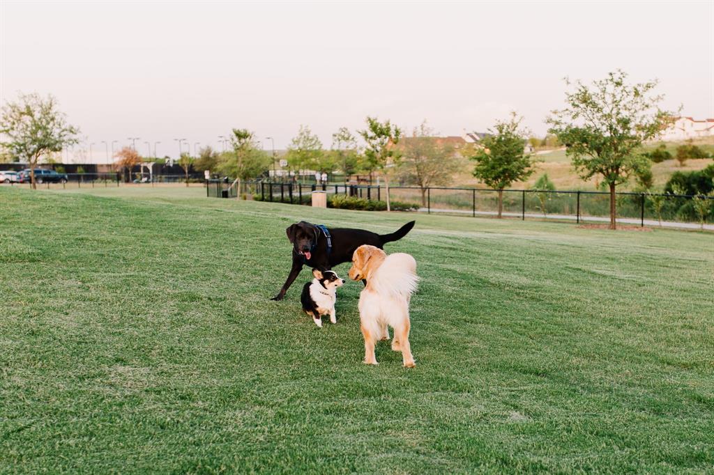 Walsh Ranch Quail Vly - Residential