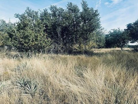 194 Willie B Drive Brownwood TX 76801