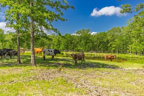 Tiny photo for 300 County Road 3636 Road, Dike, TX 75437 (MLS # 20917582)