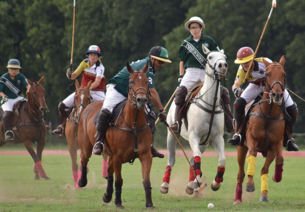 Prestonwood Polo & Country C - Land