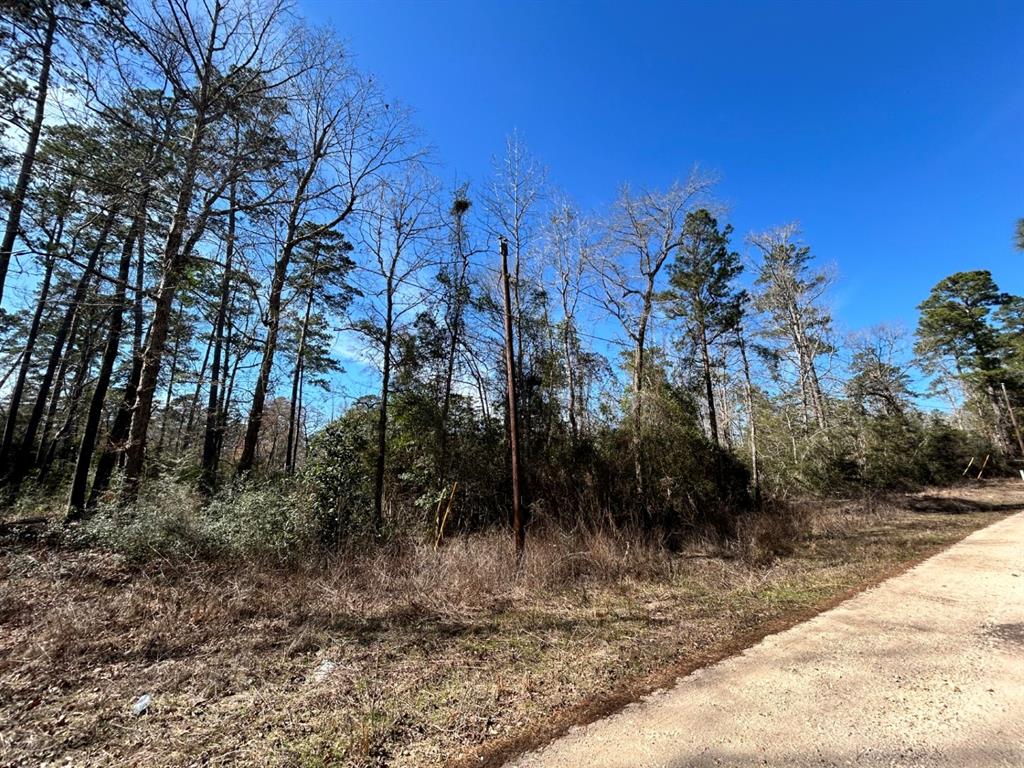 Lot 35 N Friar Tuck Drive