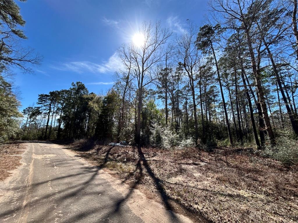 Lot 35 N Friar Tuck Drive