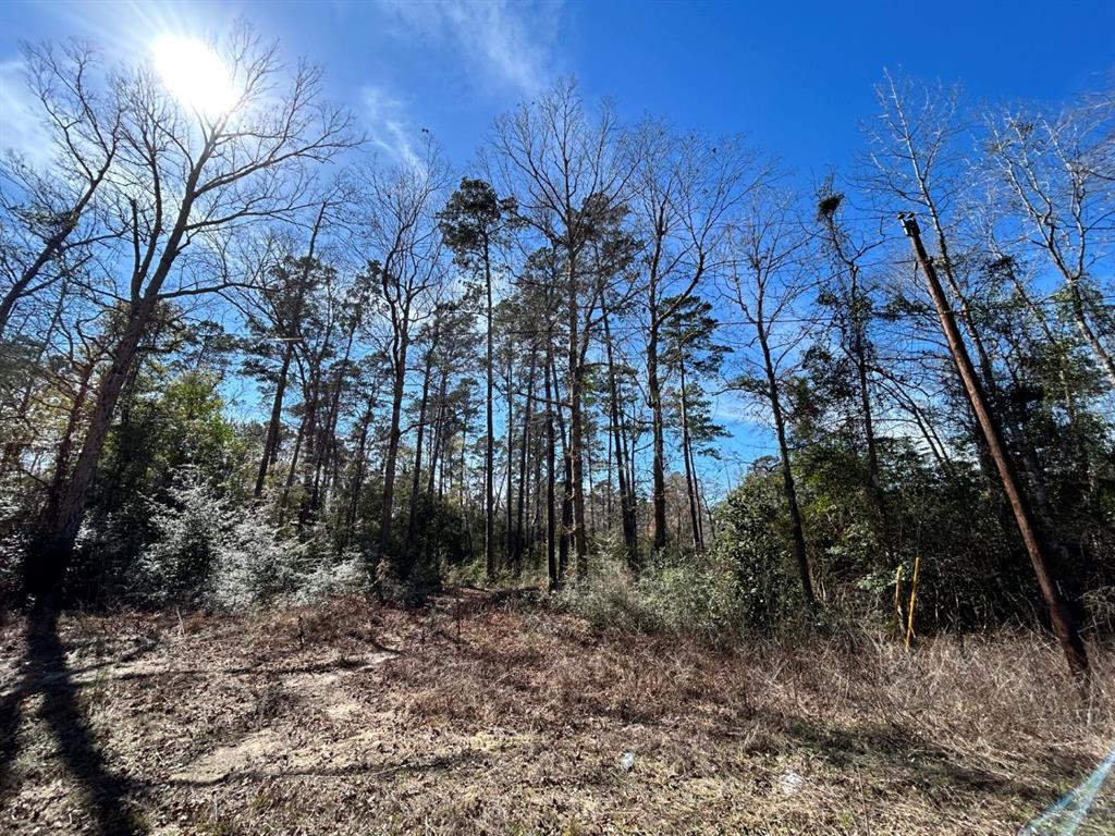 Lot 35 N Friar Tuck Drive