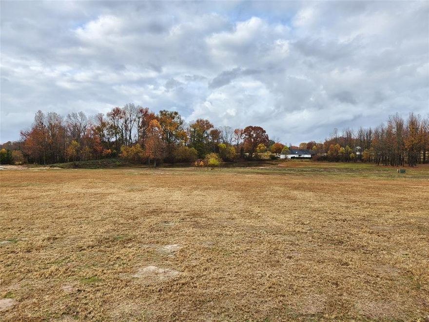 Beautiful land located in Mineola School District that is the perfect site to build your dream home!! Level field with beautiful pond that is perfect for a few horses, with opportunity to build a ranchette. Surrounded by well cared for properties, don't miss this gorgeous piece of property with endless possibilities, just minutes from Lake Holbrook!!