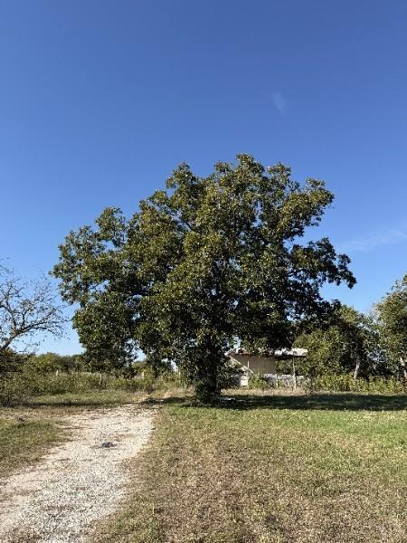 728 N Old Robinson Road