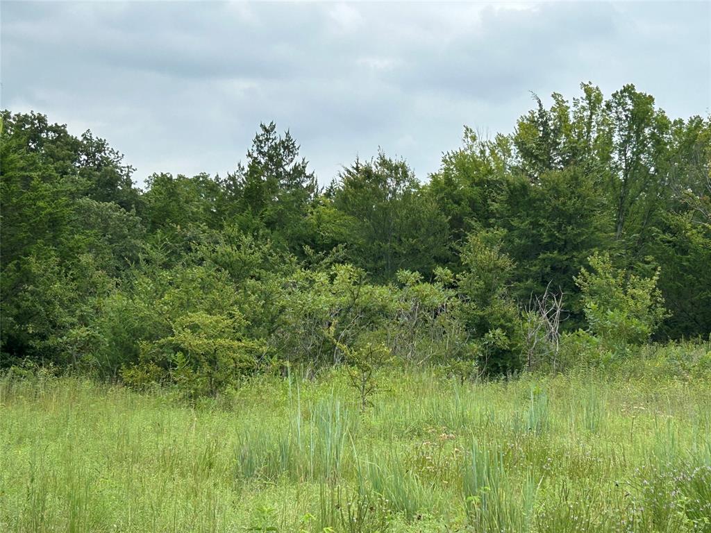 TBD cr 178