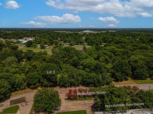101 WASHINGTON ST, WOLFE CITY, TX 75496 - Image 3b3bfe536434b24bc1dcf9e2cd0f2e62/1054409152