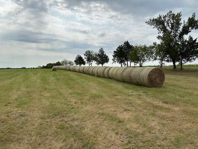 Dionisio Y' Glesias Surv Abs 13 - Land