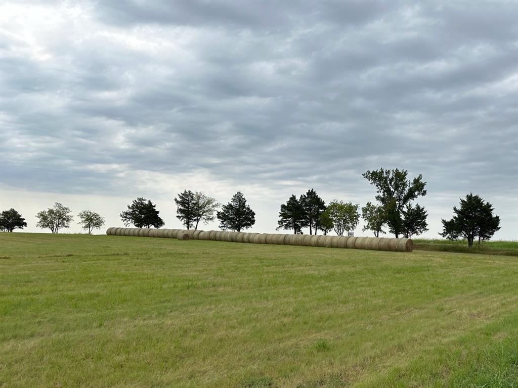 Dionisio Y' Glesias Surv Abs 13 - Land