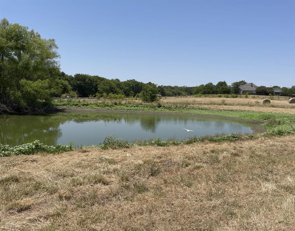 Wild Rose Farms - Land