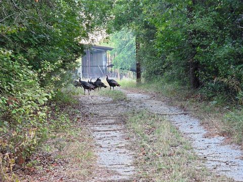 1811 Highway 570 Eastland TX 76448