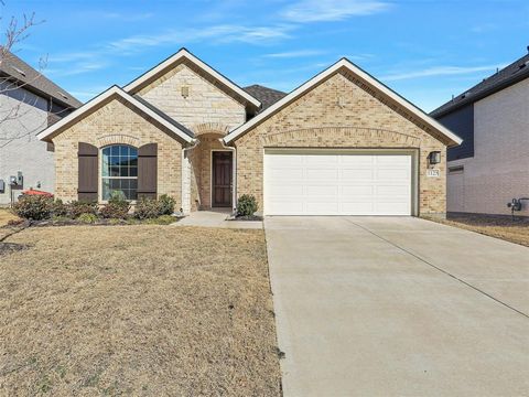 1125 Indianola Trail Anna TX 75409