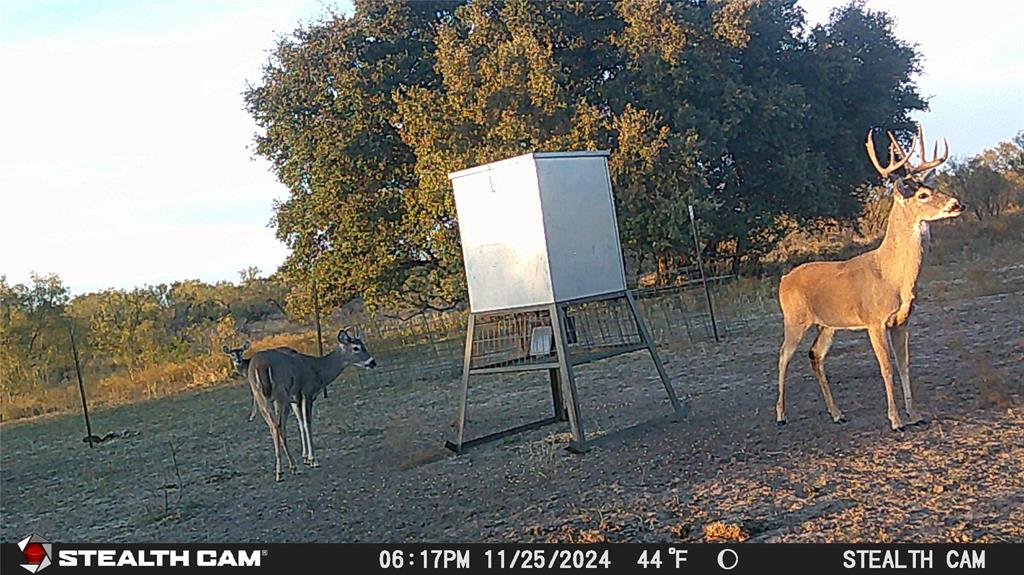 TBD County Road 294N