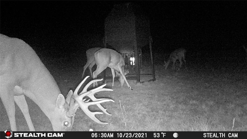 TBD County Road 294N