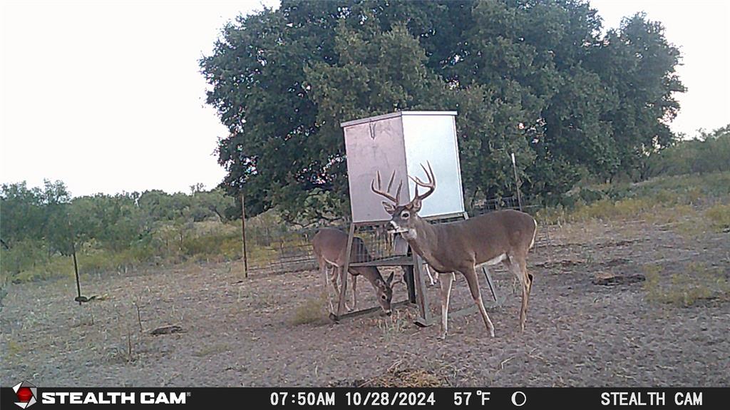 TBD County Road 294N