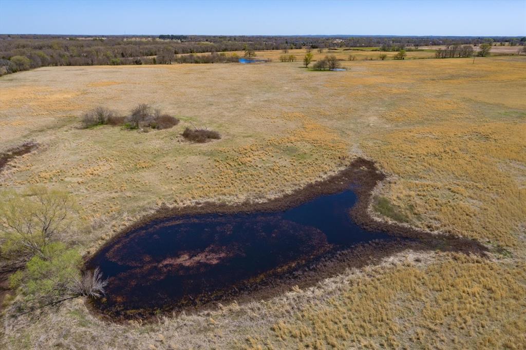 Acres 64.760, ABST: 290, SUR: A GRAY - Land