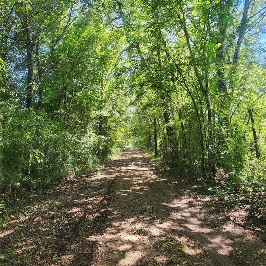 4 acres of beautiful undeveloped land in fast growing Lindale, Texas. Nice road access off of S. Vivian St.