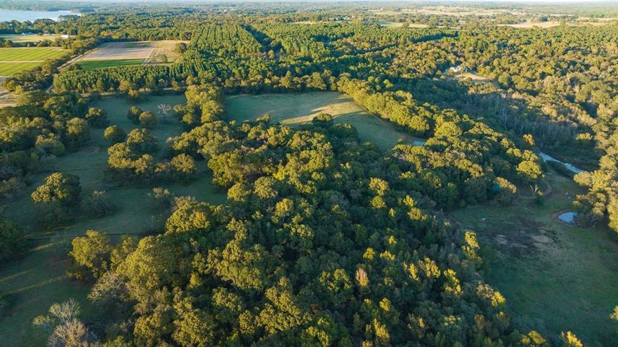 Invest in Texas and Buy Land. Beaver Creek Ranch is a distinguished legacy ranch nestled on the line of Bullard and Jacksonville Texas in Cherokee County on FM Road 3198 minutes from Lake Palestine. With two deep water wells, a 100’ metal framed barn, towering oaks and pecans, rolling topography, electric lines, Southern Utilities 6” water main (with fire hydrants) along premium road frontage, panoramic views, 100 + plus acres of bottomland including duck sloughs, a pond site, loafing shed and Bullard address. The property is zoned Bullard ISD and Jacksonville ISD. This property can check so many boxes for those looking to plant roots for a generational ranch, diligent land banker or even developers. Beaver Creek Ranch has it all.