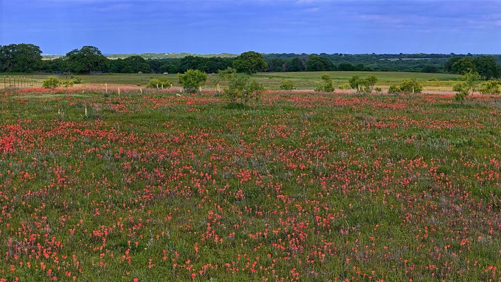 Lindsay Pasture Sub - Farm