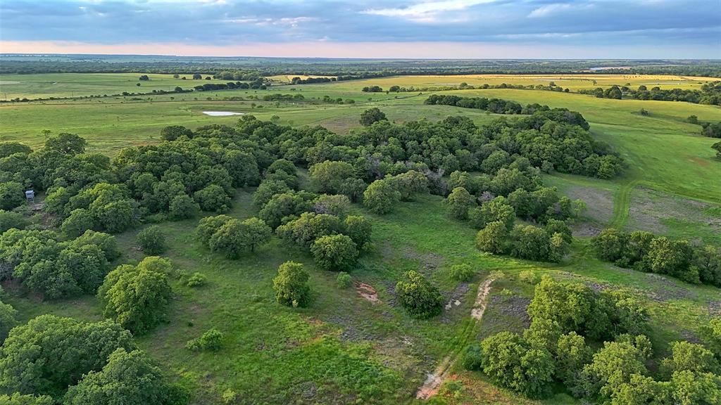 Lindsay Pasture Sub - Farm